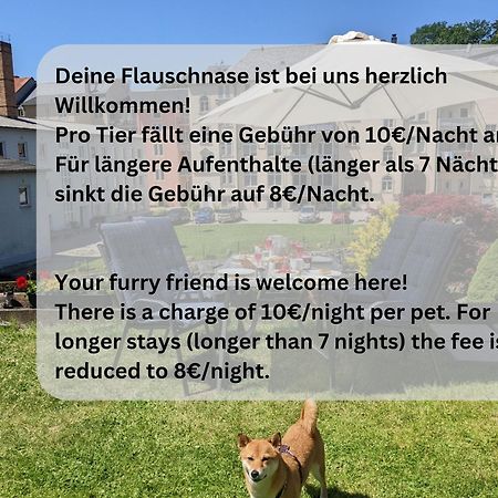 F2 - Urlaubsmagie Sauna, Whirlpool, Pool & Garten Sebnitz Exterior photo