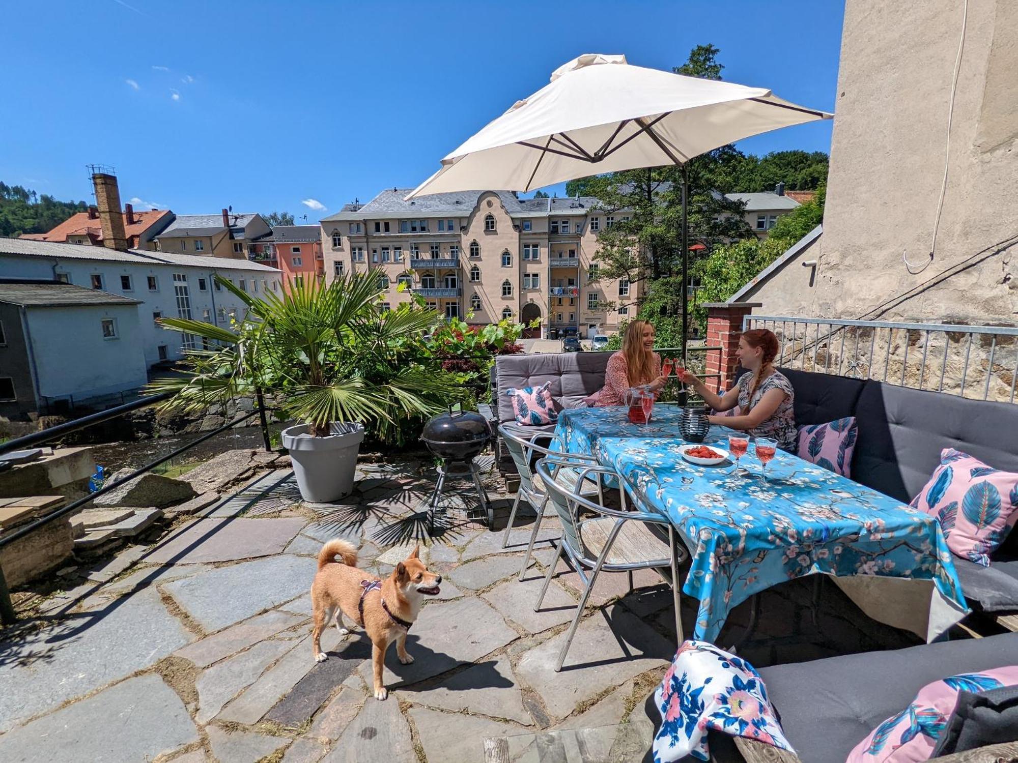 F2 - Urlaubsmagie Sauna, Whirlpool, Pool & Garten Sebnitz Exterior photo