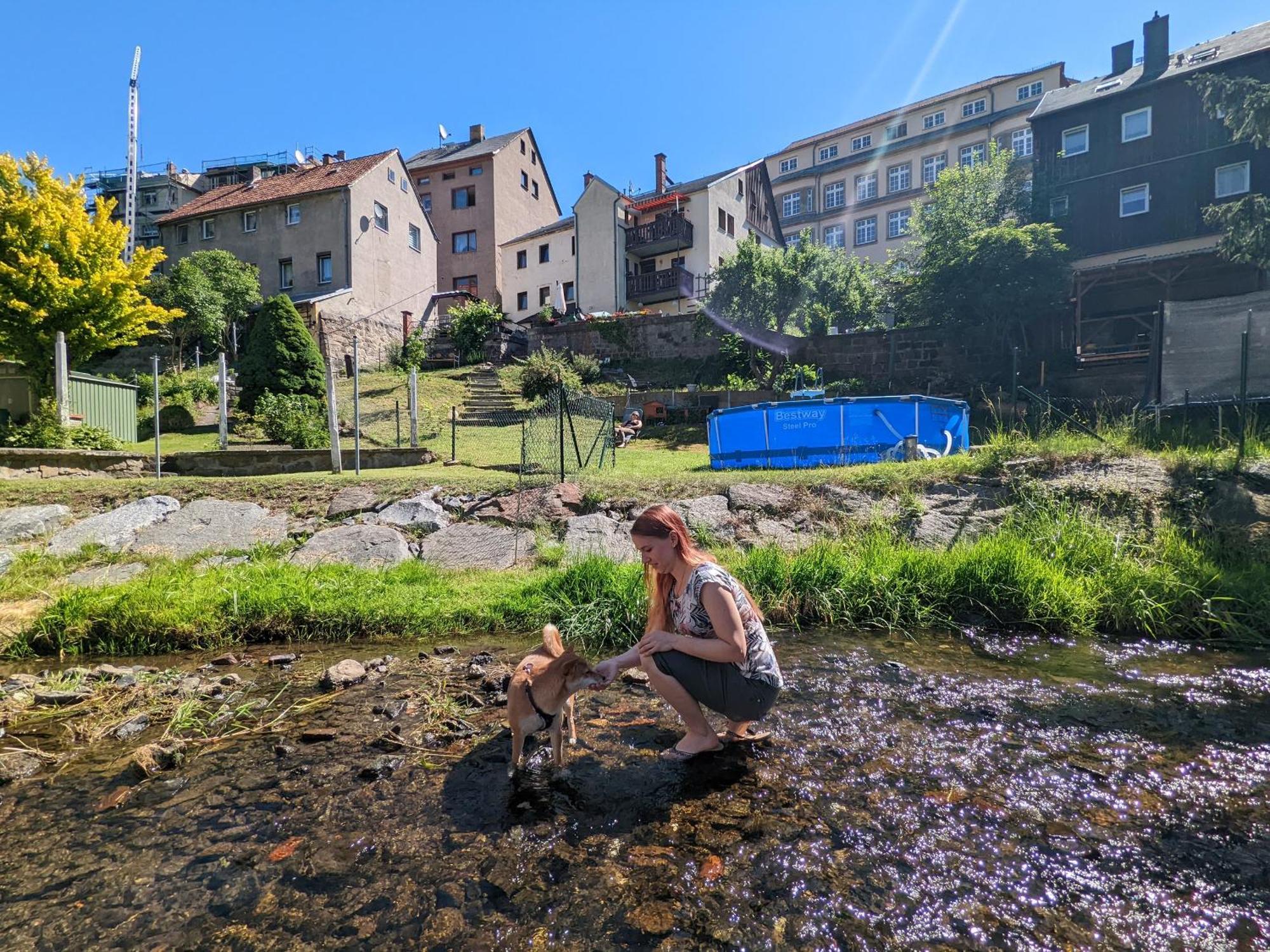 F2 - Urlaubsmagie Sauna, Whirlpool, Pool & Garten Sebnitz Exterior photo