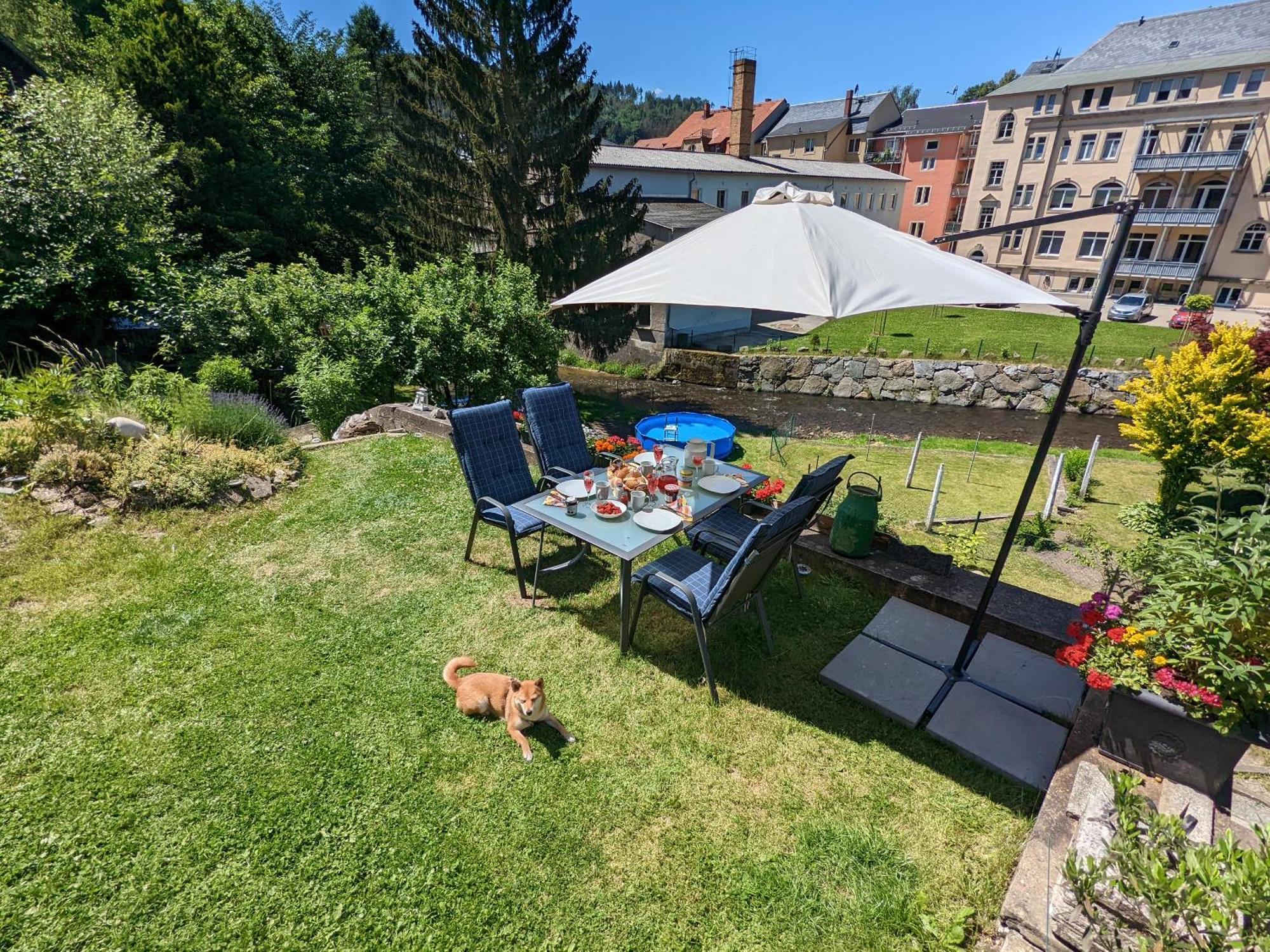 F2 - Urlaubsmagie Sauna, Whirlpool, Pool & Garten Sebnitz Exterior photo