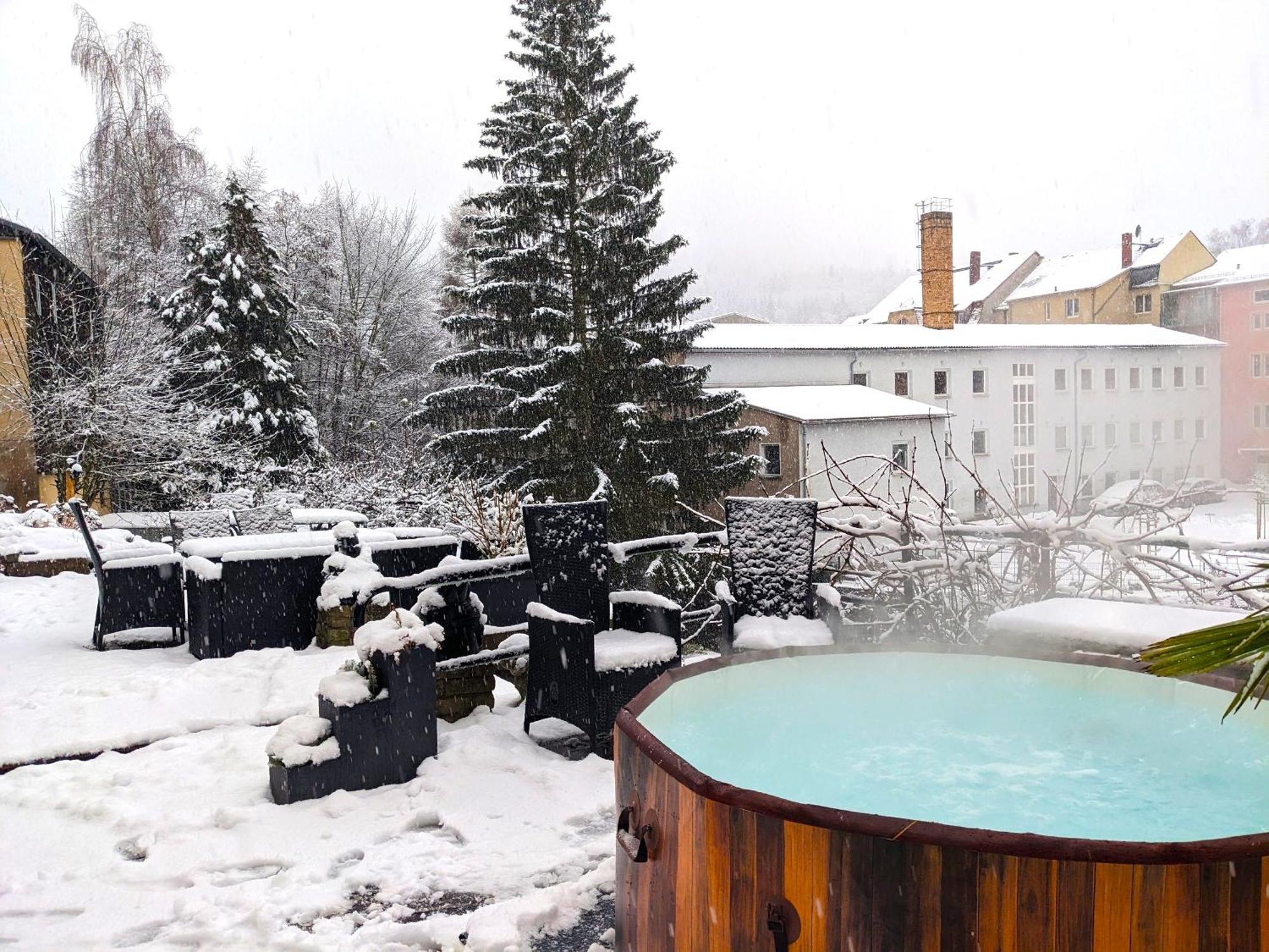 F2 - Urlaubsmagie Sauna, Whirlpool, Pool & Garten Sebnitz Exterior photo