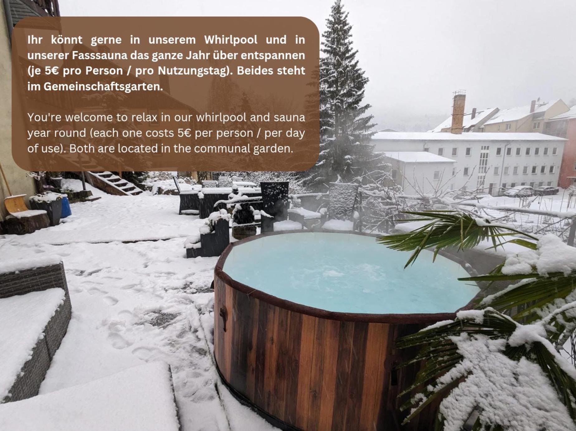F2 - Urlaubsmagie Sauna, Whirlpool, Pool & Garten Sebnitz Exterior photo